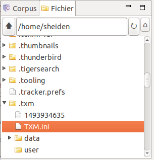 Ouverture du fichier launcher.ini dans l’explorateur de fichiers.