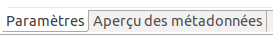 Onglet d’aperçu des métadonnées.